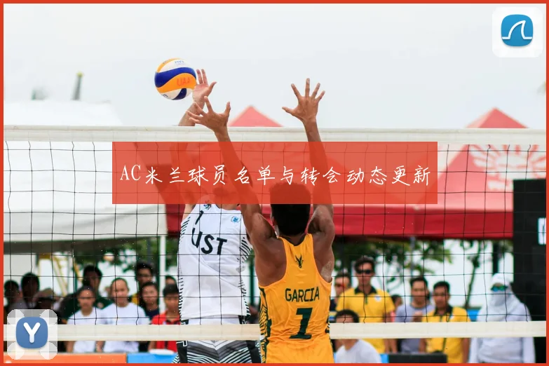 AC米兰球员名单与转会动态更新