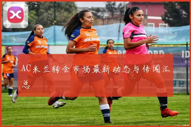 AC米兰转会市场最新动态与传闻汇总