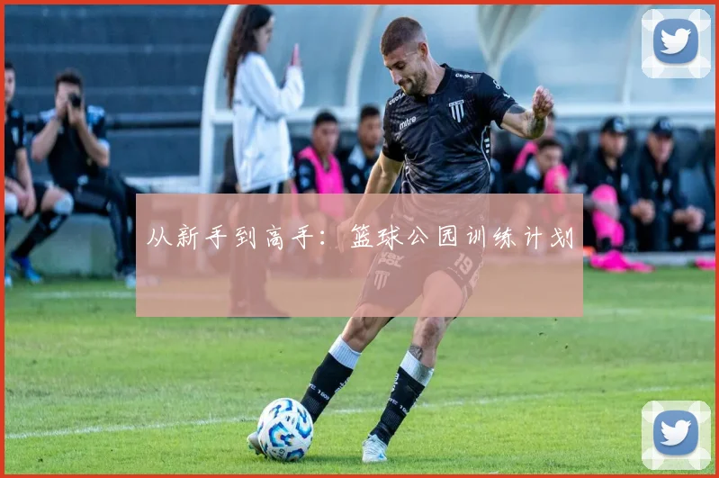 从新手到高手:篮球公园训练计划
