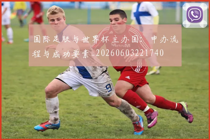 国际足联与世界杯主办国：申办流程与成功要素_20260603221740