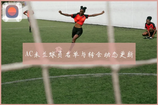 AC米兰球员名单与转会动态更新