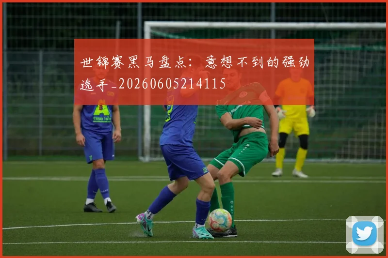 世锦赛黑马盘点:意想不到的强劲选手_20260605214115